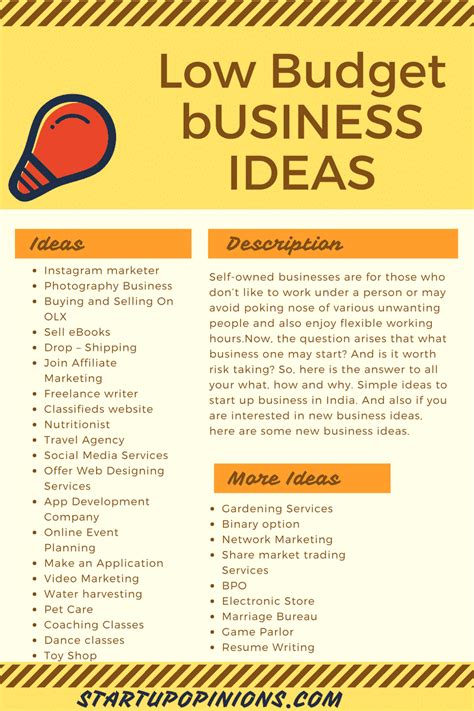 33 Low Budget Business Ideas For The Student Rinfographics