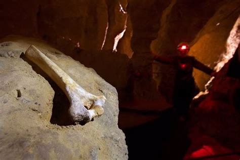 El Museo de los Neandertales se levantará en Pinilla del Valle