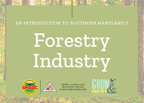 New Guide Explores The Importance Of Forestry In Maryland Cultivate