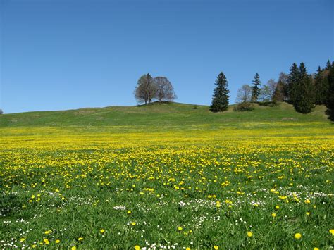 Free Images Landscape Nature Horizon Wilderness Sky Field Lawn