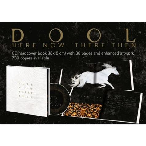 Dool Here Now There Then Cd Artbook Rock Hard Rock Glam