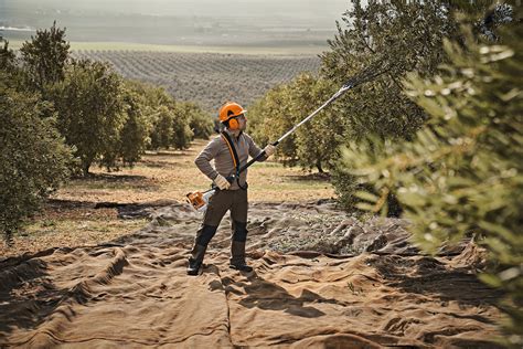 Varejadores De Varetas De Carbono A Gasolina Stihl