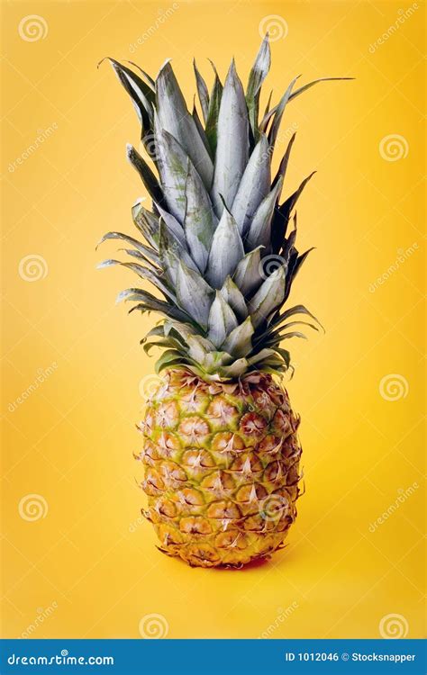 Pineapple stock photo. Image of fruit, yellow, vitamin - 1012046