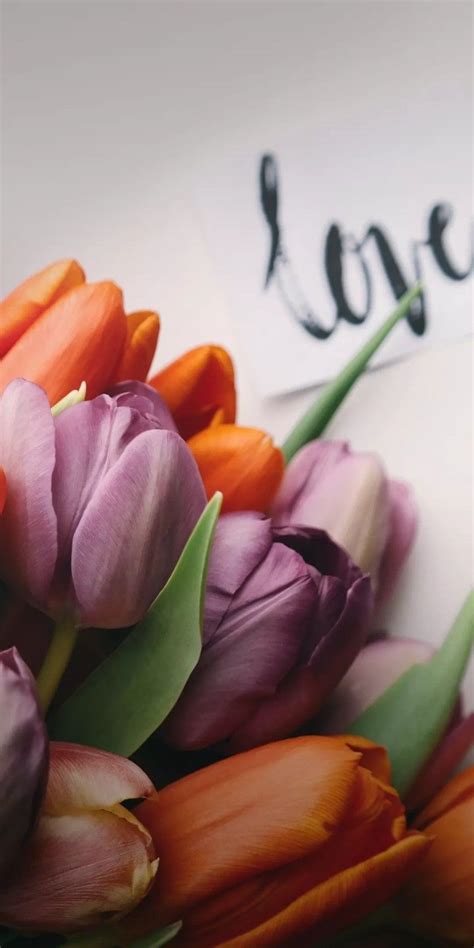 Beautiful Bouquet of Tulips