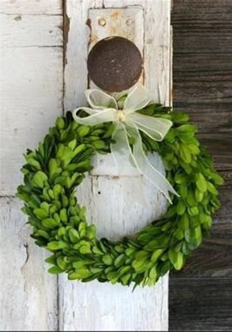 Boxwood Wreath With Ribbon Preserved 8 Inch - Etsy