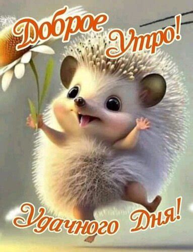 Открытка Доброе утро! Удачного дня!
