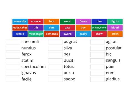 Stage 8 gladiatores - Match up