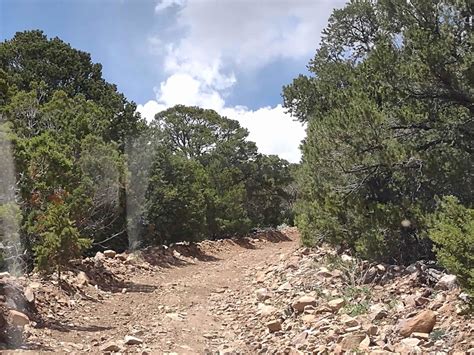 Cottonwood Road Bullion Canyon Interconnect Utah Gps Trail Map