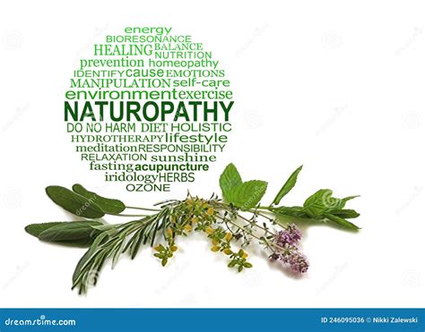 Naturopathy Word Circle Herbalist Concept Stock Photo Image Of