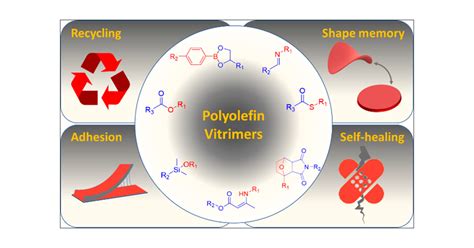 Polyolefins Vitrimers Design Principles And Applications Chemistry