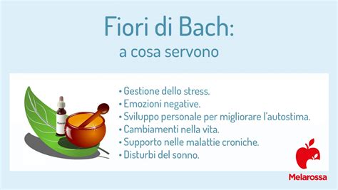 Fiori Di Bach Cosa Sono E Come Usarli Melarossa