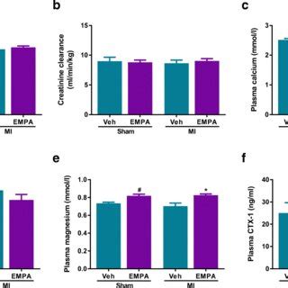 Effect Of Empagliflozin On Parameters Of Renal Structure A Ratio Of