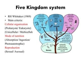 Whittaker S Kingdom Classificaton Ppt