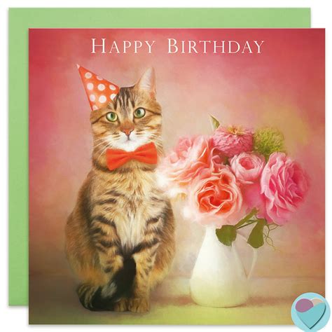 Tabby Cat Lovers Birthday Card Uk Happy Birthday Juniperlove