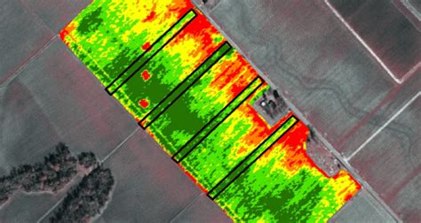 Qu Es Ndvi C Lculos Y Beneficios Boosteragro Blog