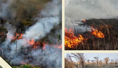 Kebakaran Hutan Sumatera Selatan Salah Siapa