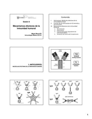 Mecanismos Efectores De Inmunidad Humoral Pdf Descarga Gratuita