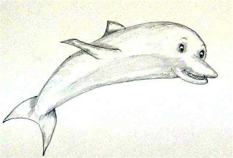 Dolphin Pencil Drawing at GetDrawings | Free download