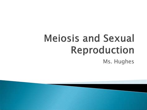 Meiosis And Sexual Reproduction Ppt Download