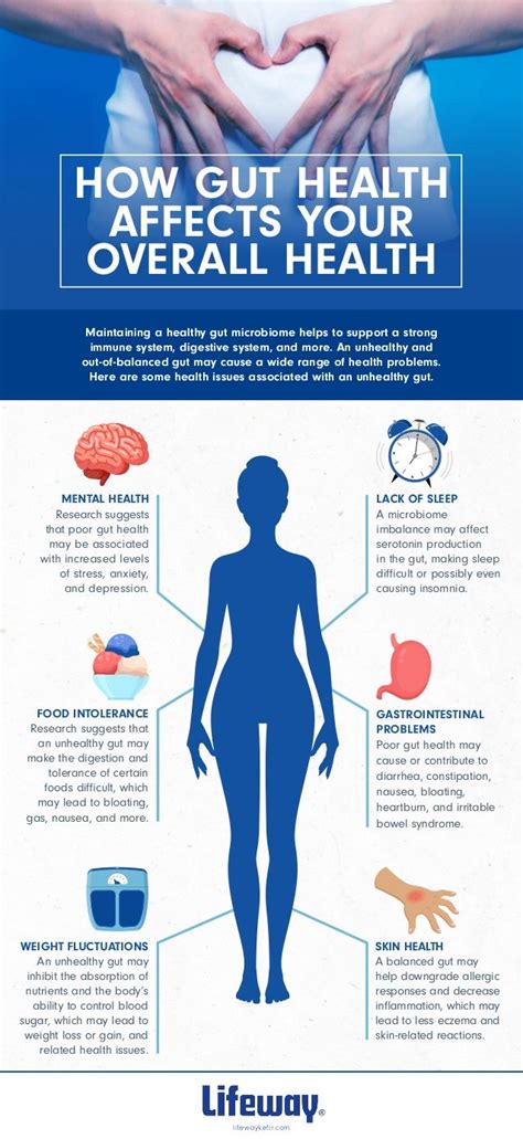 Infographic How Gut Health Affects Your Overall Health Healthsoothe