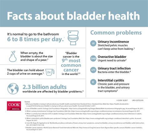 Healthy Bladder Habits Urology