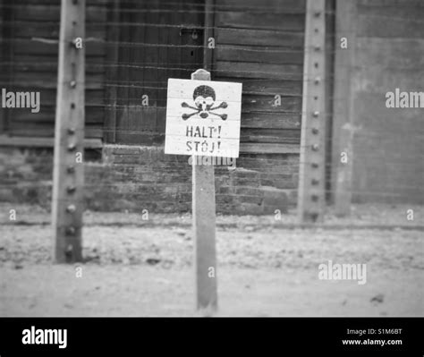 Stop sign in Auschwitz Birkenau Stock Photo - Alamy