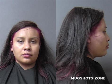 GARCIA JENNIFER 01 07 2024 Madison County Mugshots Zone