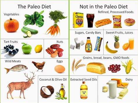 Panduan Menu Diet Paleo Untuk Mencapai Berat Badan Ideal Cara Mengecilkan Perut Buncit Secara