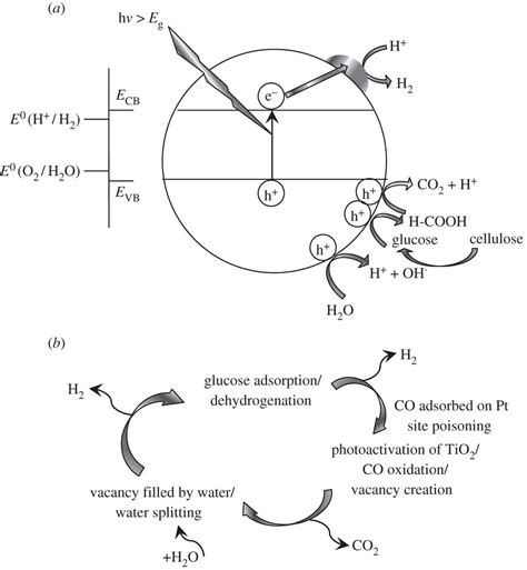 H2 Production By The Photocatalytic Reforming Of Cellulose And Raw