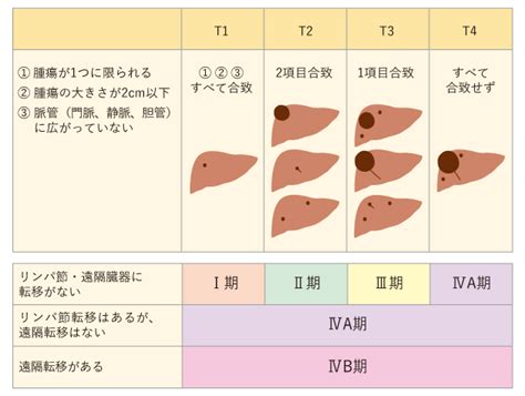 肝臓がん（肝細胞がん） 治療： 国立がん研究センター がん情報サービス 一般の方へ