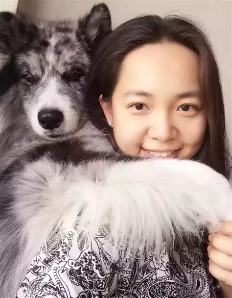 這隻被人類遺棄的藥用實驗比格犬，等你把它帶回家 每日頭條