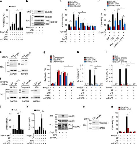 Oxpapc Inhibits Lps Induced Pyroptosis In Human Macrophages A B Thp