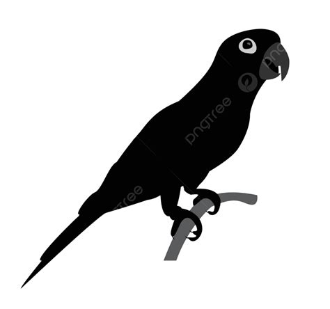 Stunning Parrot Silhouette Against White Backgroundvector Image Illustration Isolated Ara Vector