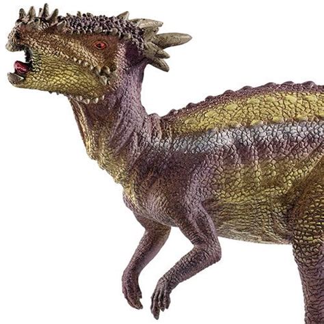 Schleich Dinosaurs Dracorex 18 5 Cm Ilovespeelgoed Nl