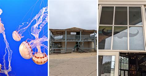 12 Top Museums in Monterey: Art, History, and Others to Explore