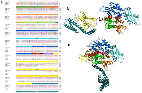 Protein Sequences And Structures A Sequence Alignment Of Human