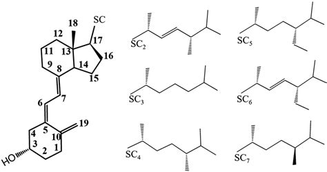 Structure And IUPAC Numbering Of The Carbon Atoms Of The Vitamin D