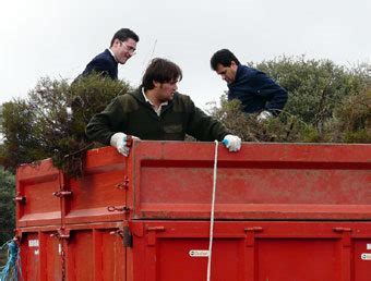 Recogiendo aulagas para la Fiesta de Santa Lucía en Villanueva del