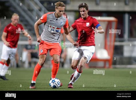 Thomas Van Bommel High Resolution Stock Photography And Images Alamy