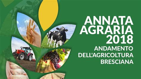 Annata Agraria Youtube