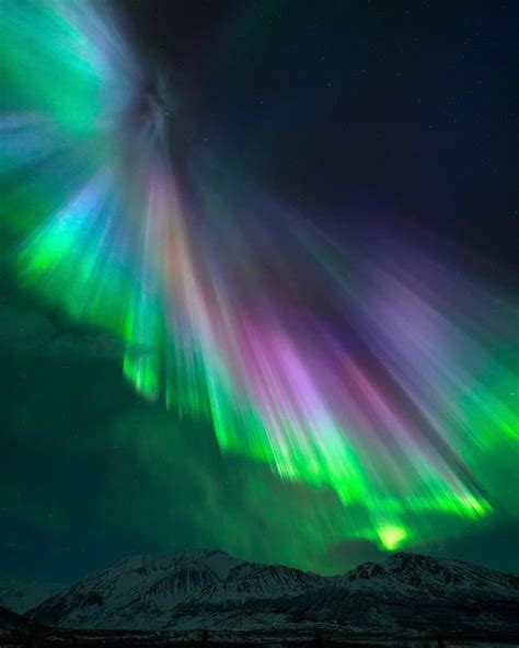 Northern Lights Viewing in Alaska | Travel Alaska