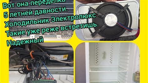 Холодильник Электролюкс.Не морозит .Пищит. - YouTube