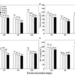 Variations Of Soil Enzyme Activities In Different Forest Restoration