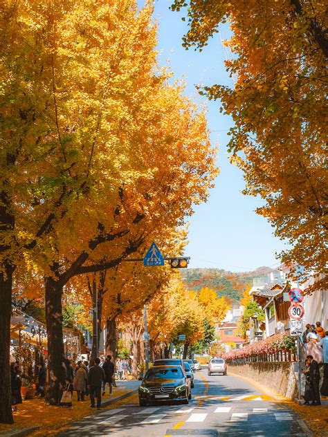 Samcheongdong Gil A Must Visit Destination For Autumn Foliage Enthusiasts