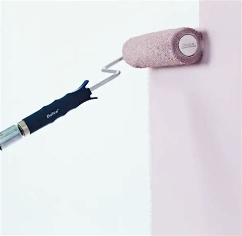 Explore Painting Tips And Techniques Dulux