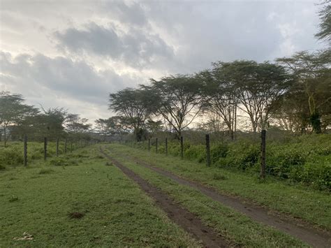 224 Acres of development land in Naivasha Crater lake. | Kenya Valuers & Estate Agents