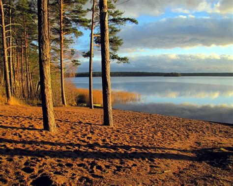 Рузское водохранилище - фото и картинки: 65 штук