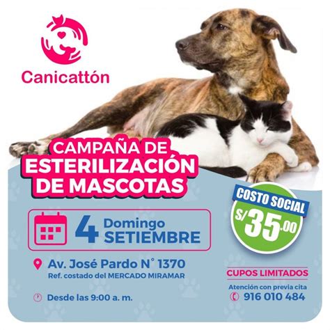 Chimbote Campa A De Esterilizaci N De Mascotas Chimbote Online