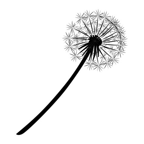 dandelion blowing   wind drawing    clipartmag