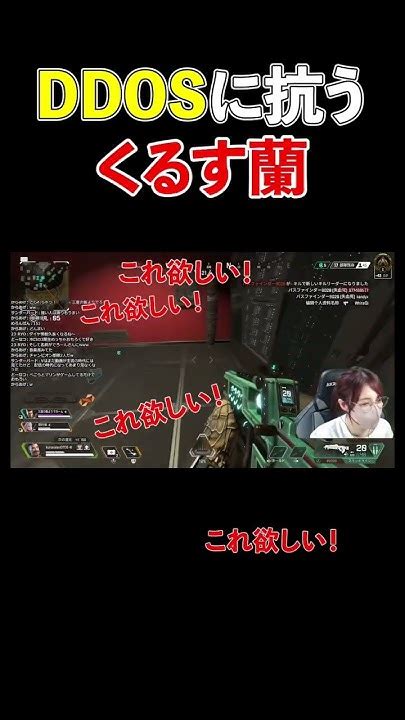 どんな環境でも楽しめるくるす蘭 ゼロイチゲーム部 Apex くるす蘭 Youtube